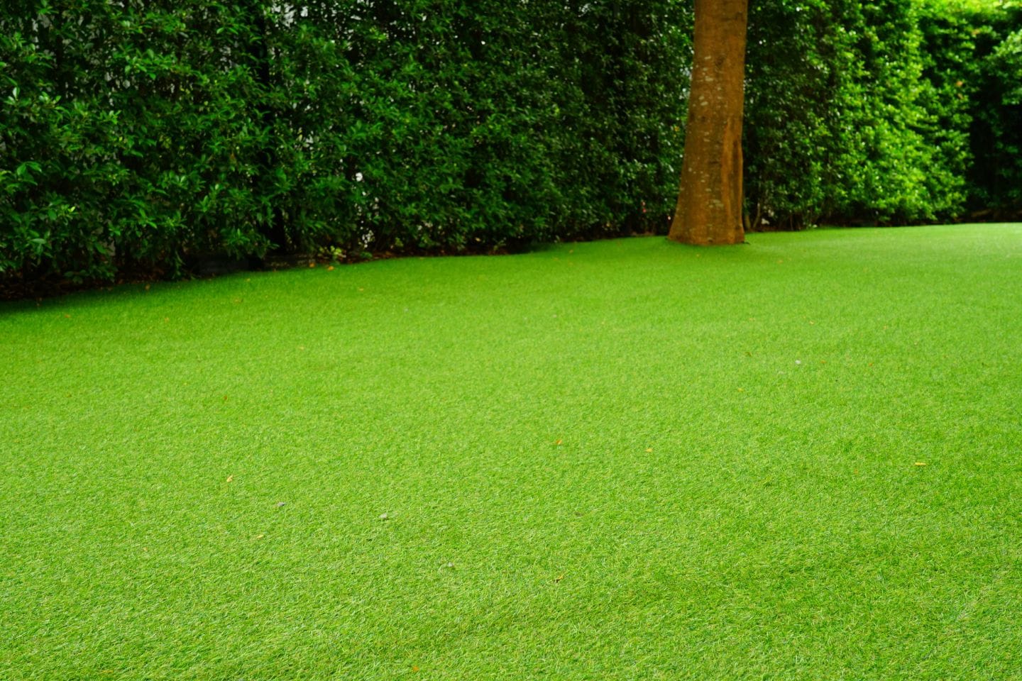 A lawn of synthetic grass with a tree trunk on the right and dense shrubbery in the background creates a perfect blend of vibrant nature and advanced landscaping.