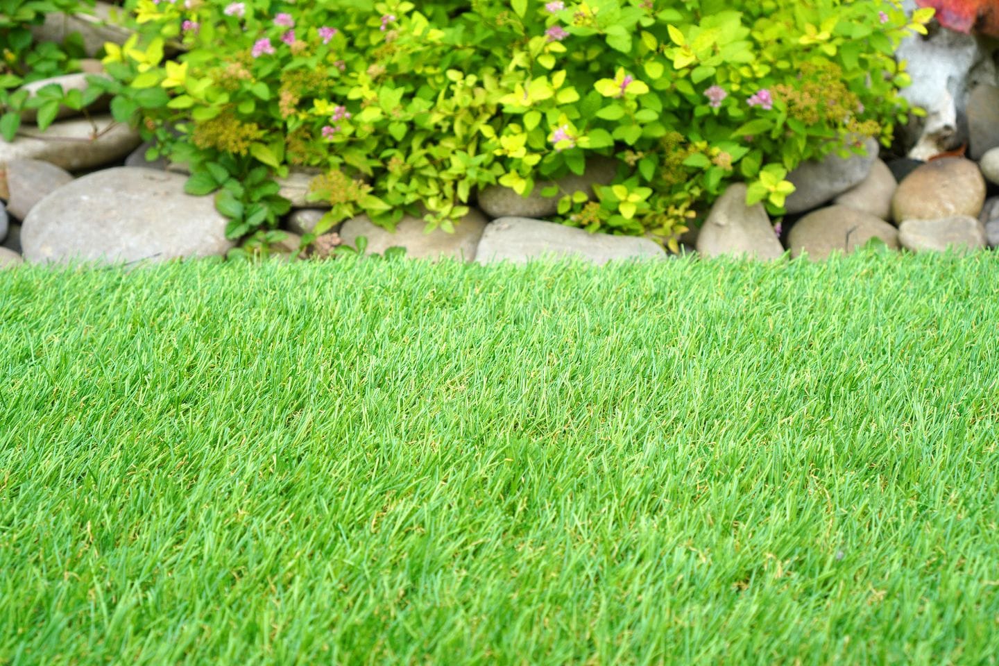 A close-up of a lush, synthetic grass lawn bordered by gray stones, with vibrant green and yellow plants and small flowers adding a lively touch in the background.