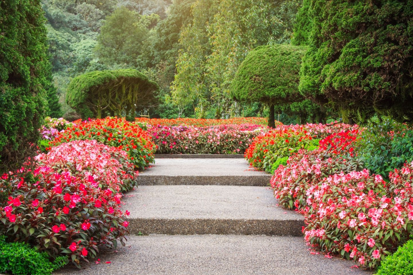 A garden path with stone steps is surrounded by vibrant red and pink flowers, and trimmed green bushes.