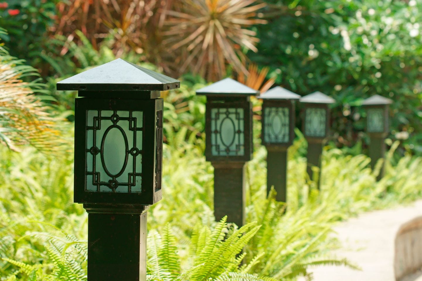 A row of decorative black lanterns, featuring low-voltage lighting, stands among lush green ferns in a garden setting, with foliage in the background.