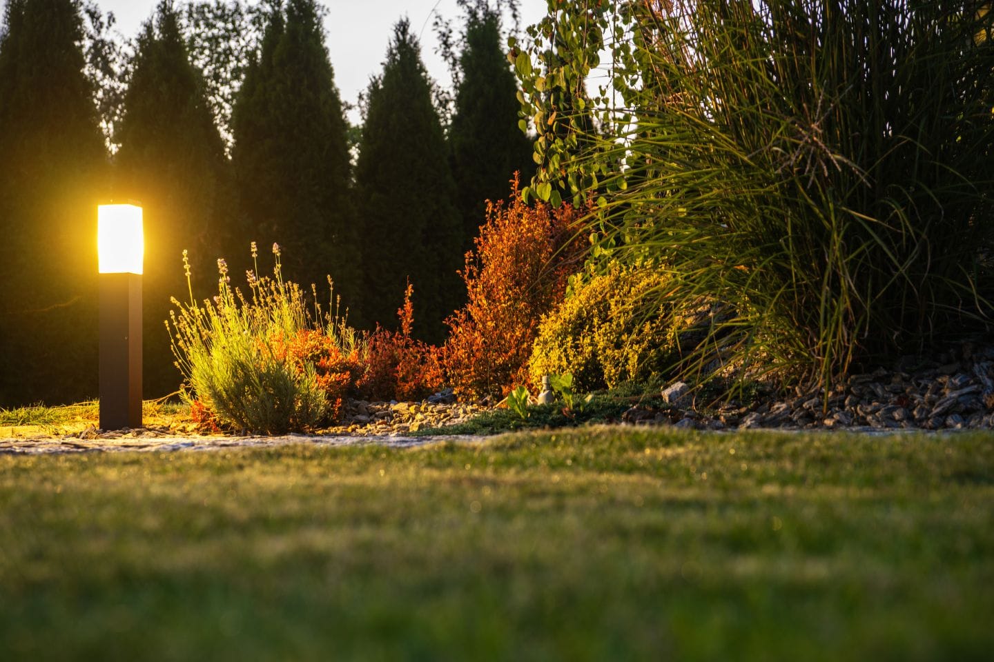 At sunset, the garden landscape is beautifully illuminated by low-voltage pathway lights, with shrubs and trees providing a lush backdrop and a green grassy foreground by Low Voltage Landscape Lighting Installation experts.