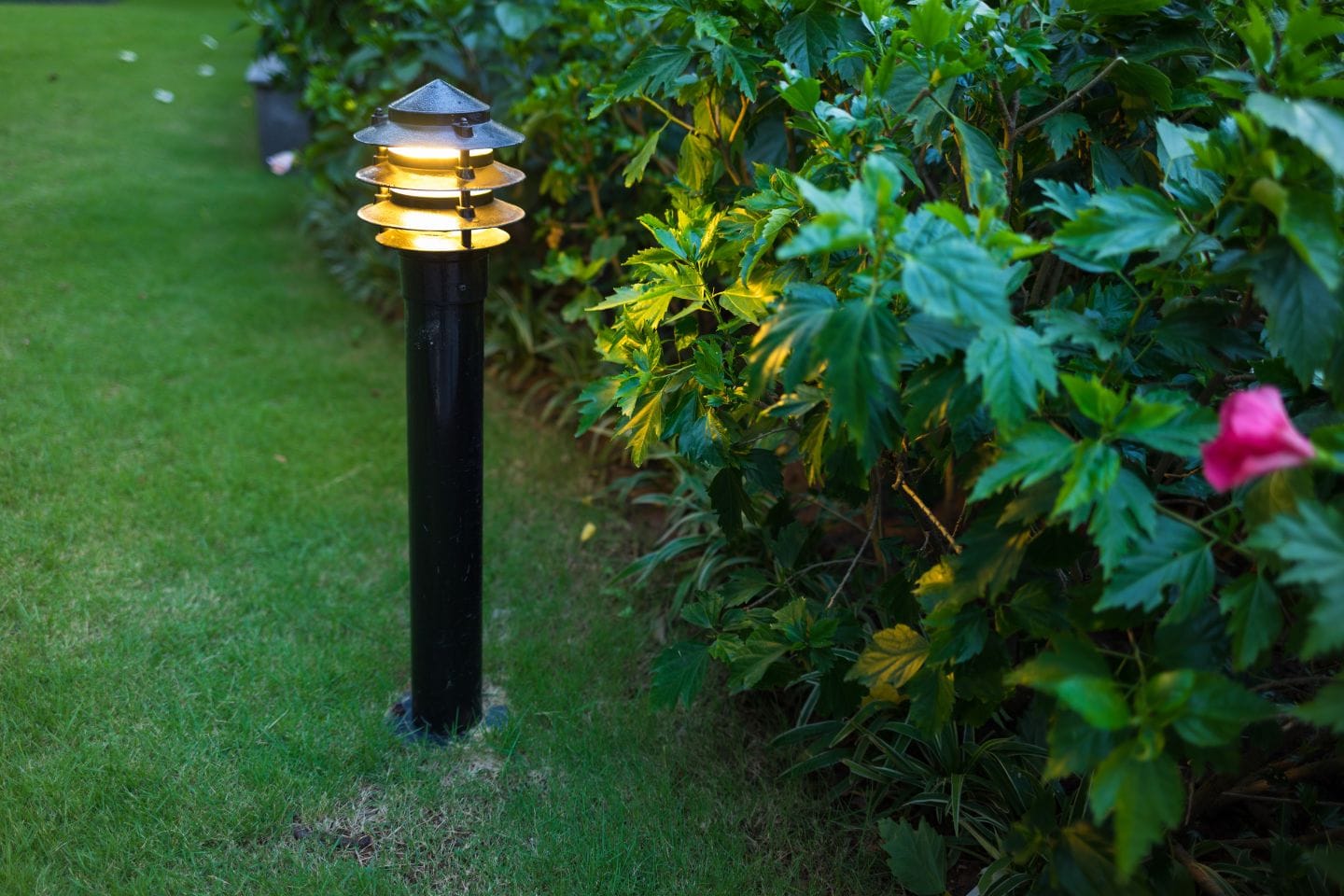 A garden pathway lamp with low-voltage lights casts a gentle glow next to green leafy bushes, highlighting a pink flower in the foreground.