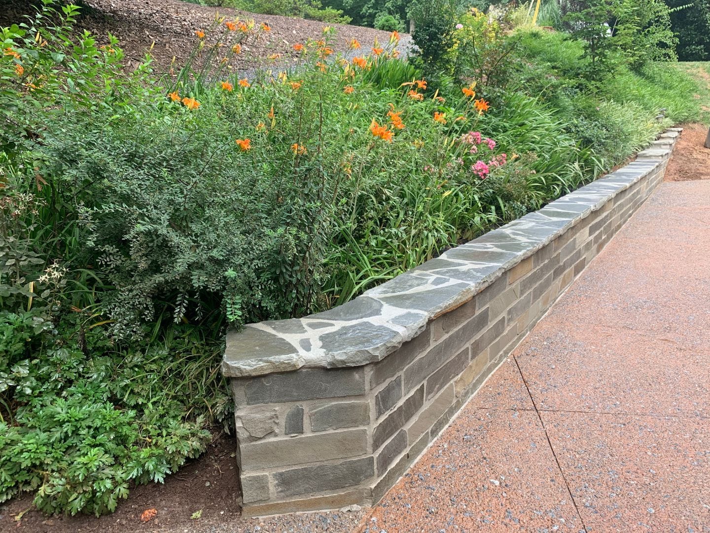 A stone retaining wall with a cap made of flat stones runs alongside a bed of mixed greenery and orange flowers, showcasing beautiful landscaping. The path adjacent to the wall is made of reddish gravel, providing both aesthetic appeal and effective erosion control.