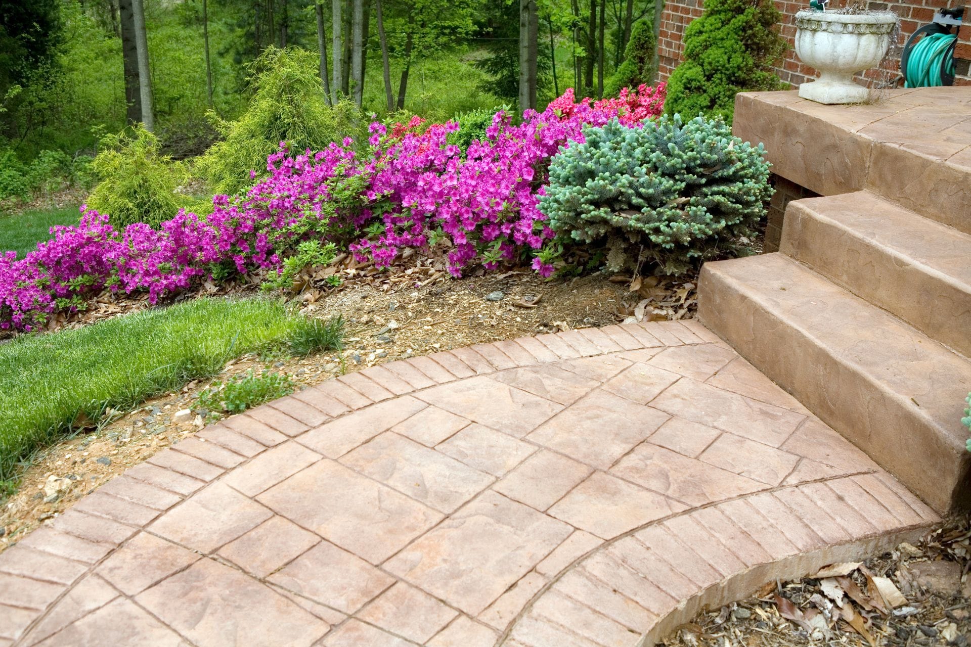 Stone steps and a graceful curved walkway, nestled between lush sidewalks, lead to a garden filled with bright pink flowers and vibrant green shrubs.