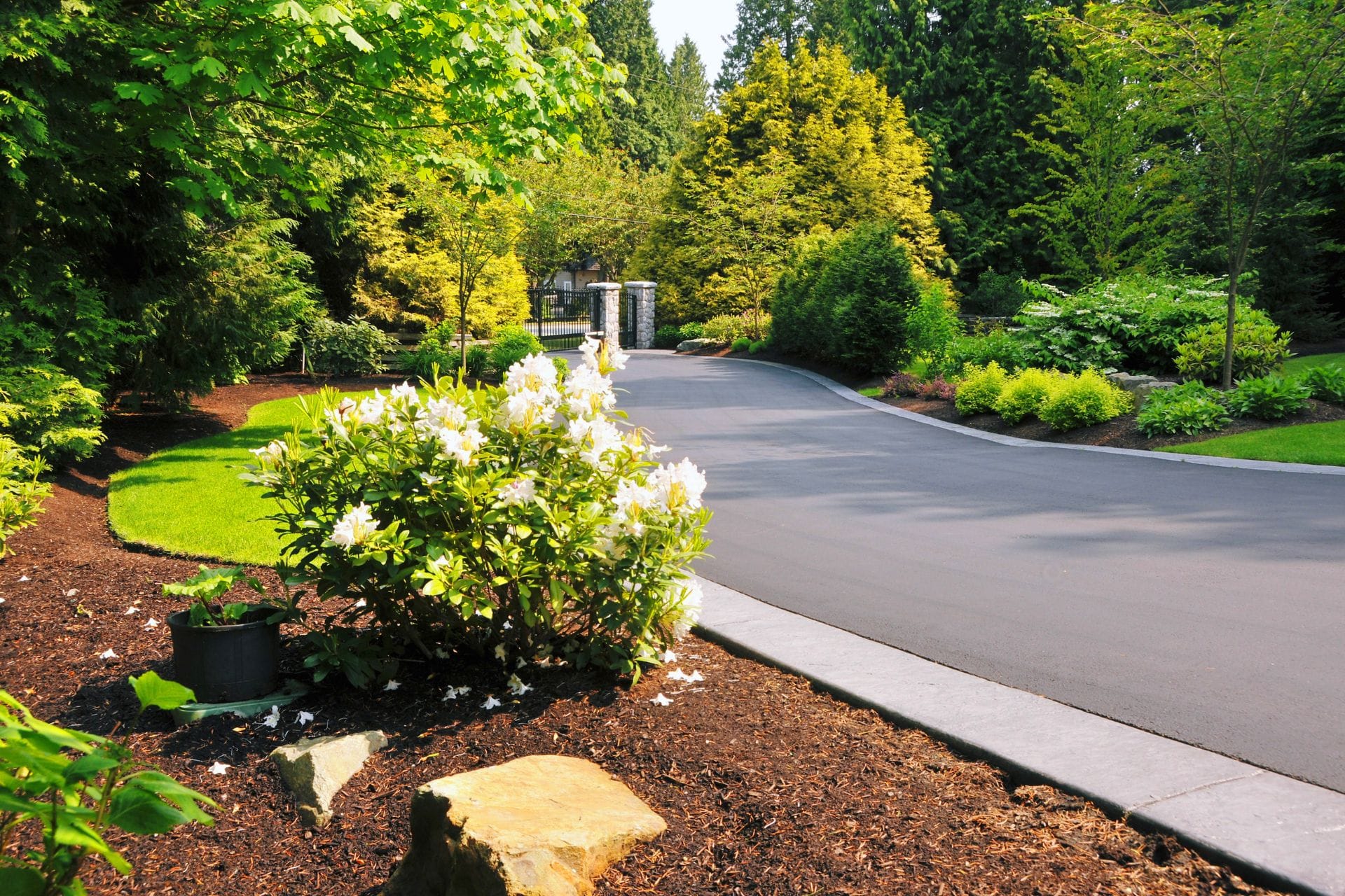 A paved driveway gracefully curves through a lush garden adorned with white flowers and green shrubs on a sunny day, seamlessly blending with the elegant sidewalks that frame the picturesque scene.