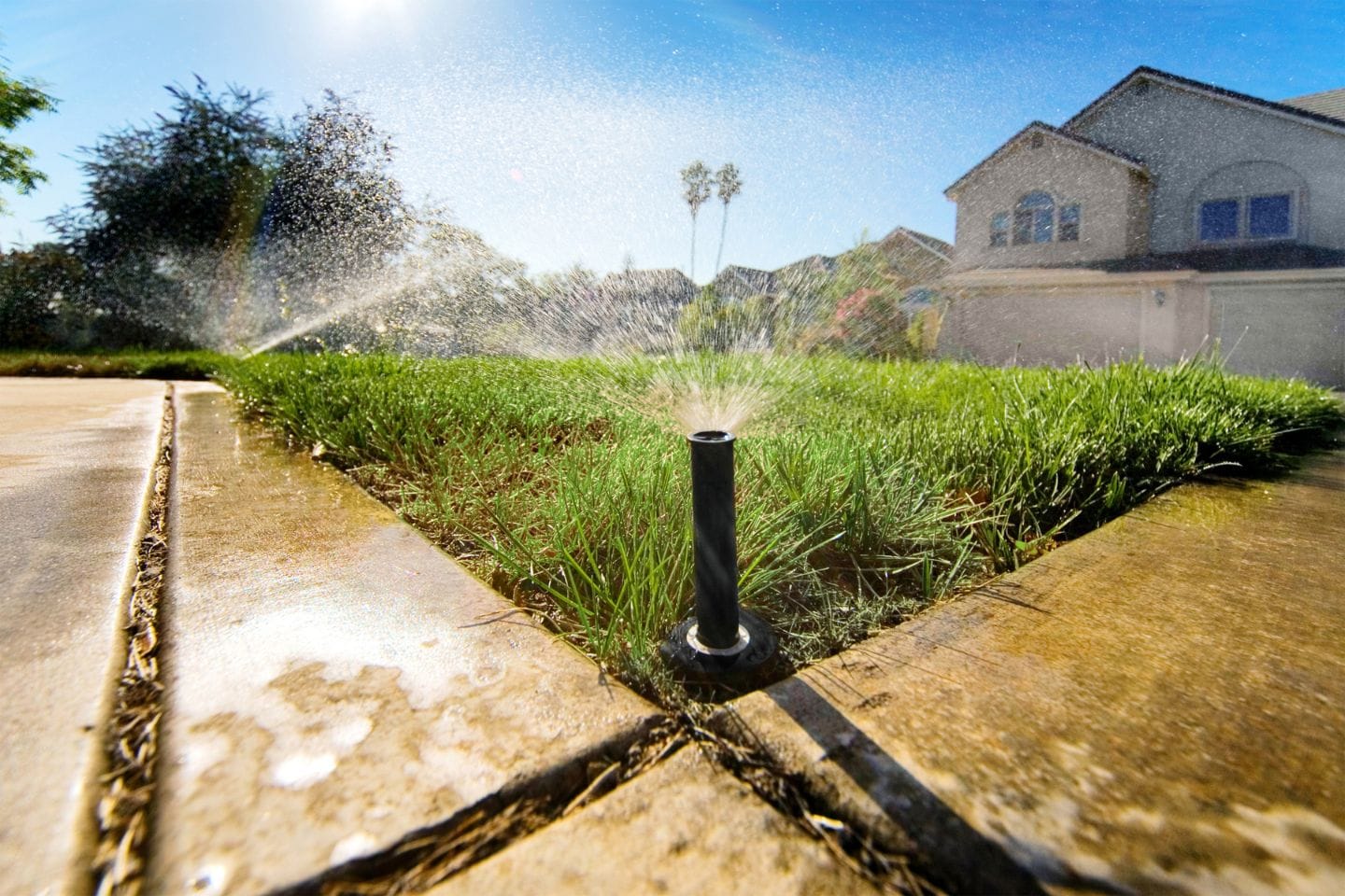 A sprinkler waters a lush green lawn beside a carefully designed concrete pathway, showcasing the beauty of expert hardscaping services in a residential neighborhood under clear blue skies.