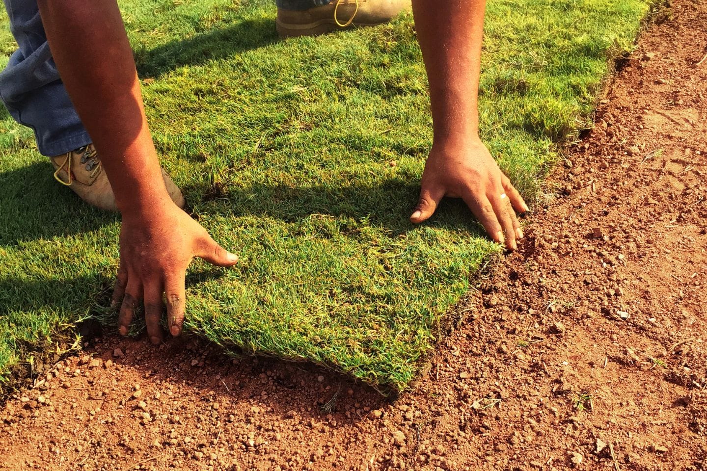 A person diligently laying sod on a dirt surface with both hands, showcasing skill and precision in hardscaping services.