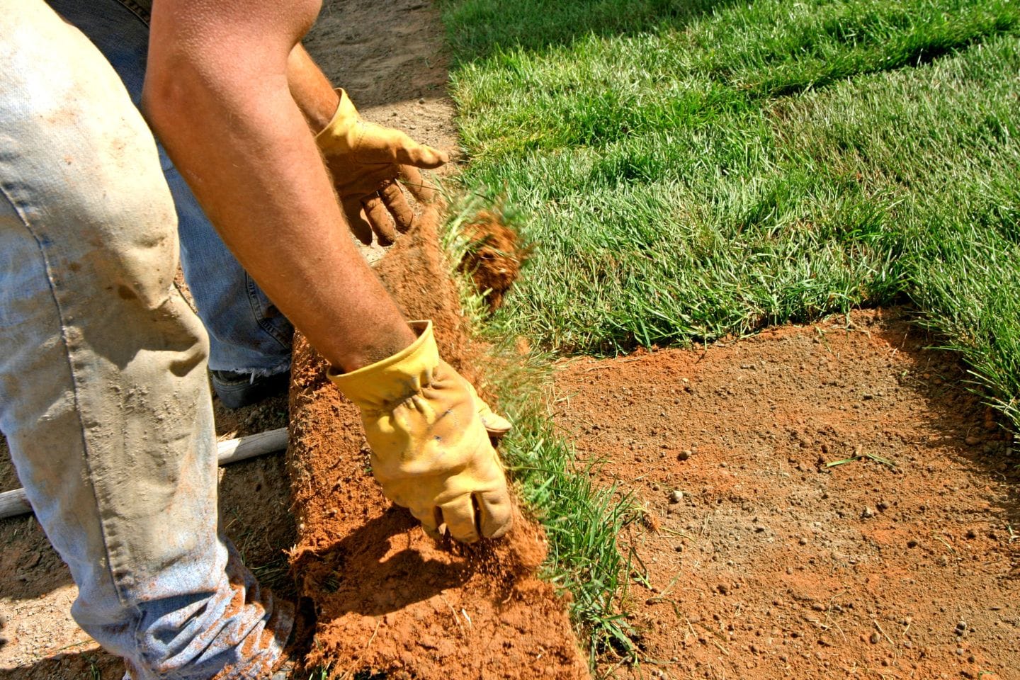 Person laying grass sod on soil, wearing gloves and jeans, carefully incorporates hardscaping services to create a harmonious outdoor space.
