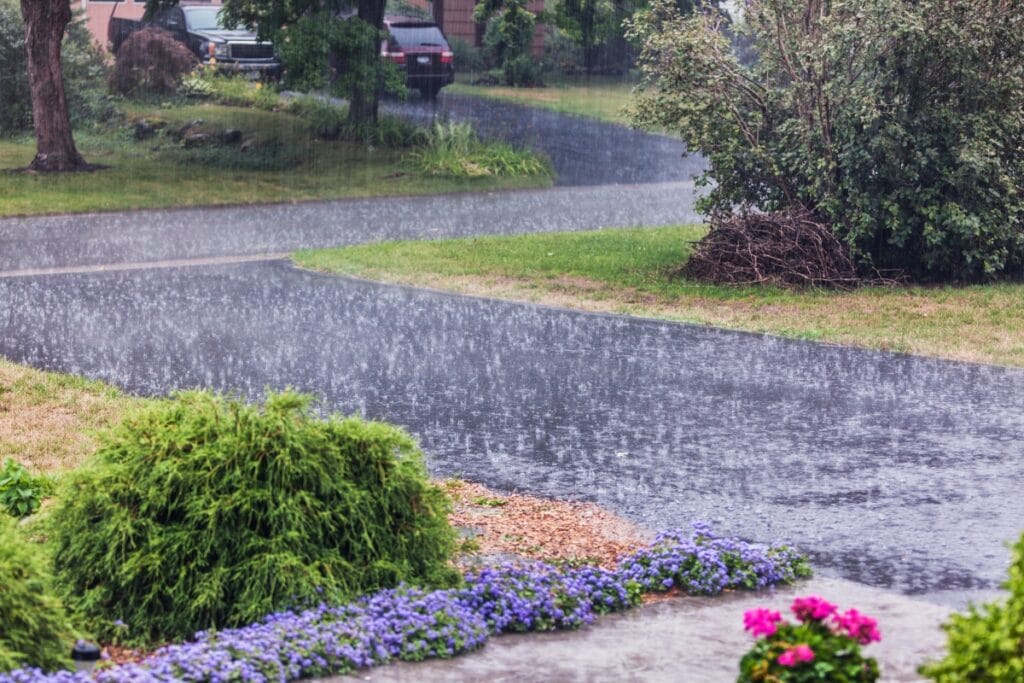 Heavy rain falls on a residential driveway and garden with blooming flowers, wet pavement, and trees in the background, highlighting the importance of proper drainage to prevent water pooling.