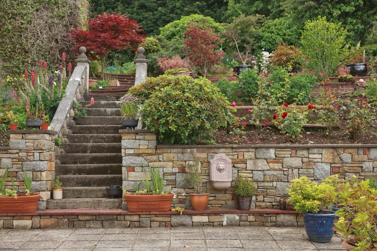 Stone steps lead up through a tiered garden with trimmed shrubs, flowering plants, and potted plants along a stone retaining wall, showcasing hardscaping services in Northside Atlanta, GA from Atlanta Hardscape Kings. throughout the landscape.