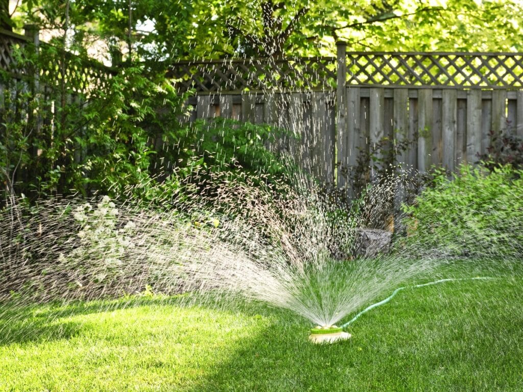 A garden sprinkler sprays water over freshly laid sod in a backyard with green grass, trees, and a wooden fence in the background.
