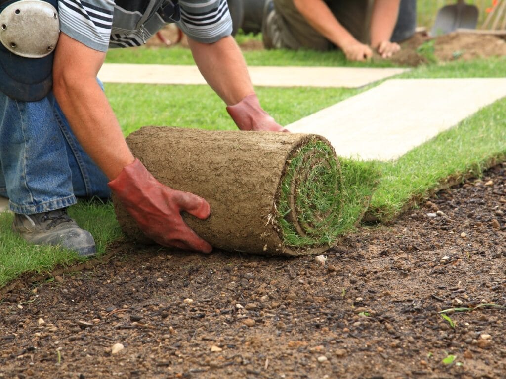 A person wearing gloves unrolls a piece of sod onto bare soil during a sod installation, while others work in the background near a sprinkler.