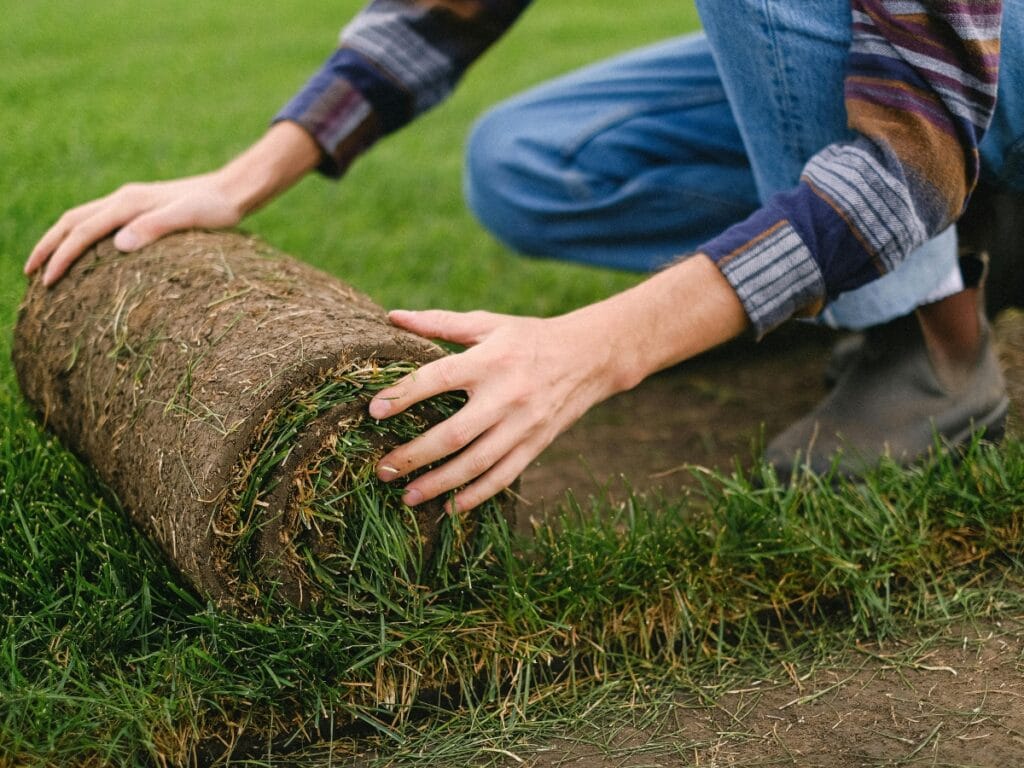 A person kneels on grass while unrolling a strip of sod onto bare soil, wearing jeans, a plaid shirt, and boots, preparing for efficient sod installation before setting up the sprinkler system.