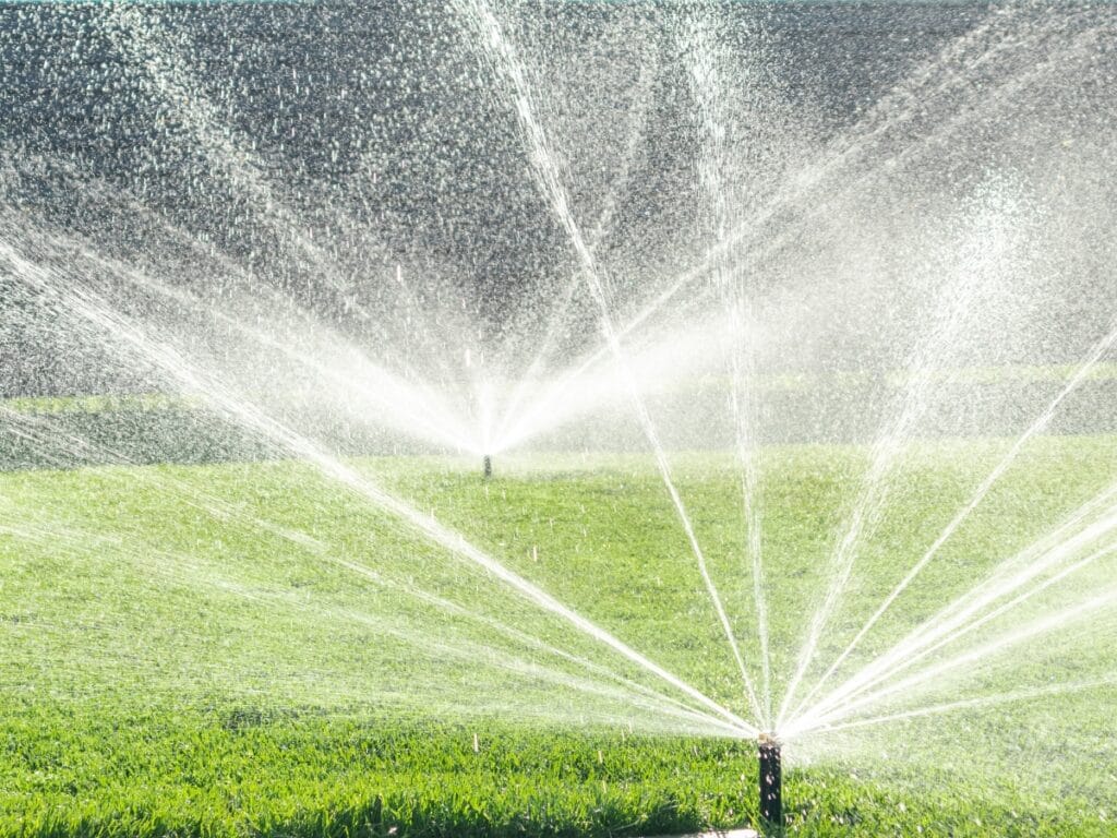 Several sprinklers spray water over a green lawn, recently enhanced with professional sod installation, creating overlapping arcs of water on a sunny day.