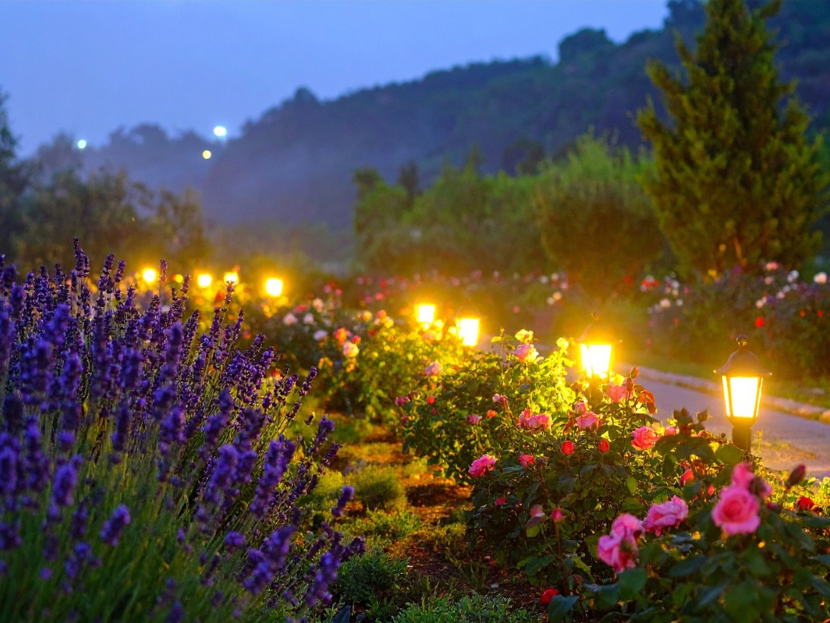 Flower garden at dusk with blooming lavender and roses illuminated by a row of glowing pathway lights—perfect inspiration for those seeking elegant pathway lighting ideas, with trees and hills forming a serene backdrop.
