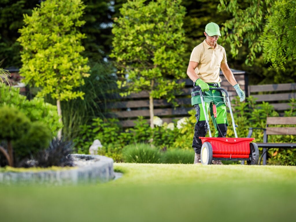 A person wearing a green cap and gloves uses a green and red push lawn aerator on a grassy lawn, preparing the garden for Winter Hardscape Ideas.