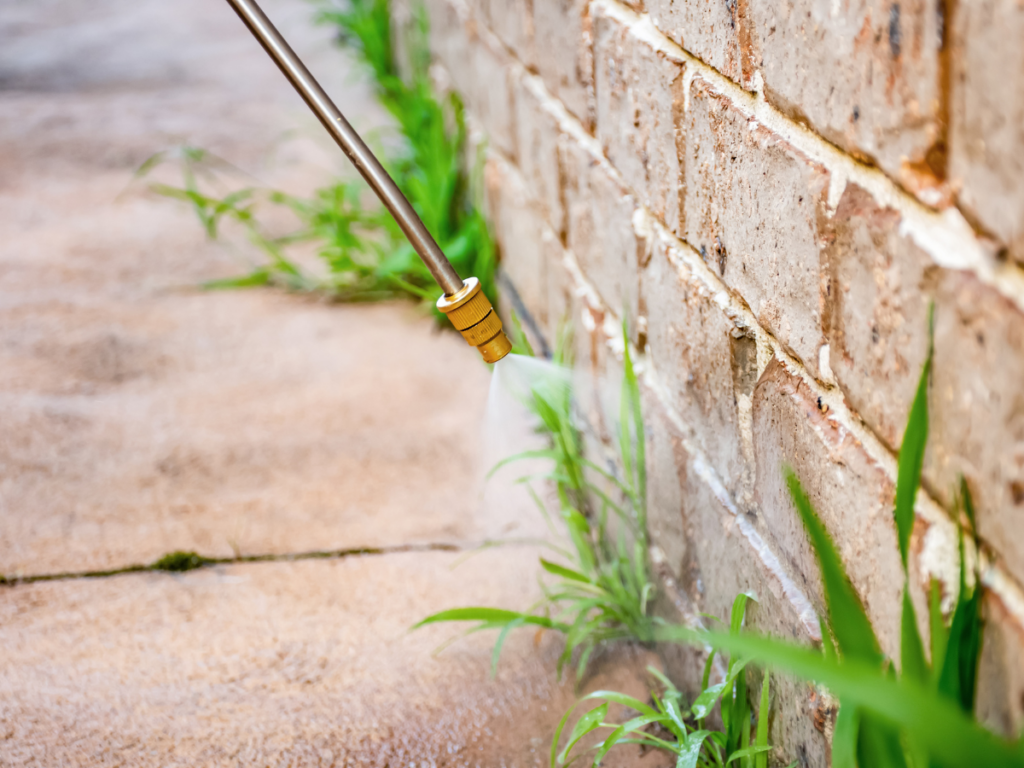 A high-pressure water nozzle is used for effective weed control, spraying weeds growing along the base of a brick wall and concrete pavement.