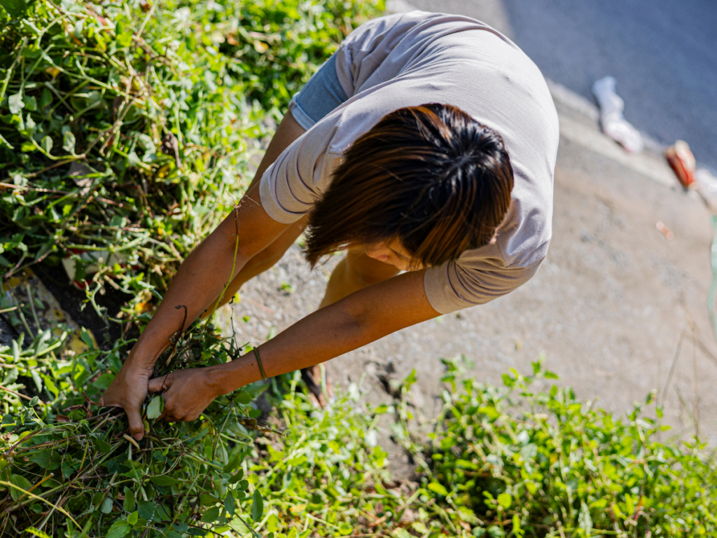 Person wearing a light shirt and shorts pulling weeds or plants from the ground near a roadside, viewed from above—an active approach to Weed Control.