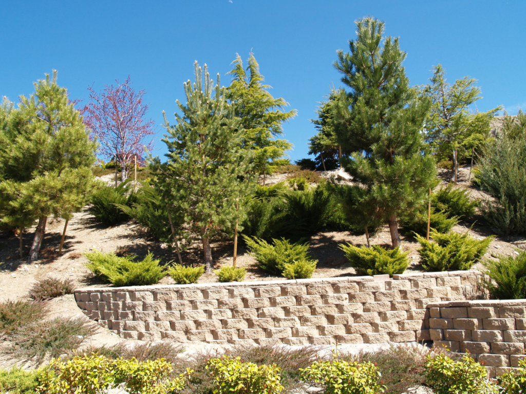 Stone retaining wall with green shrubs and pine trees on a sloped hillside under a clear blue sky, showcasing the importance of regular retaining wall maintenance for lasting beauty and stability.